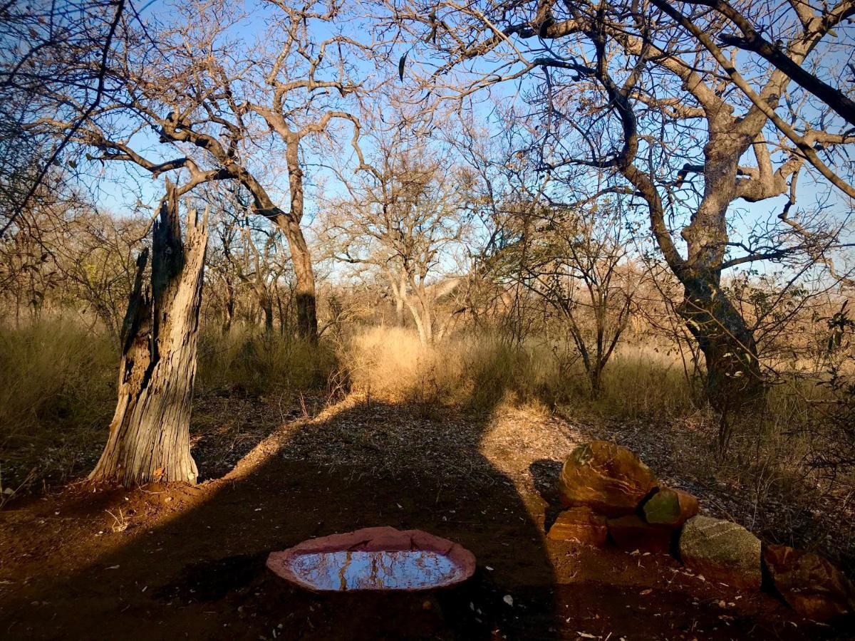 The Bush Hut Βίλα Hoedspruit Εξωτερικό φωτογραφία