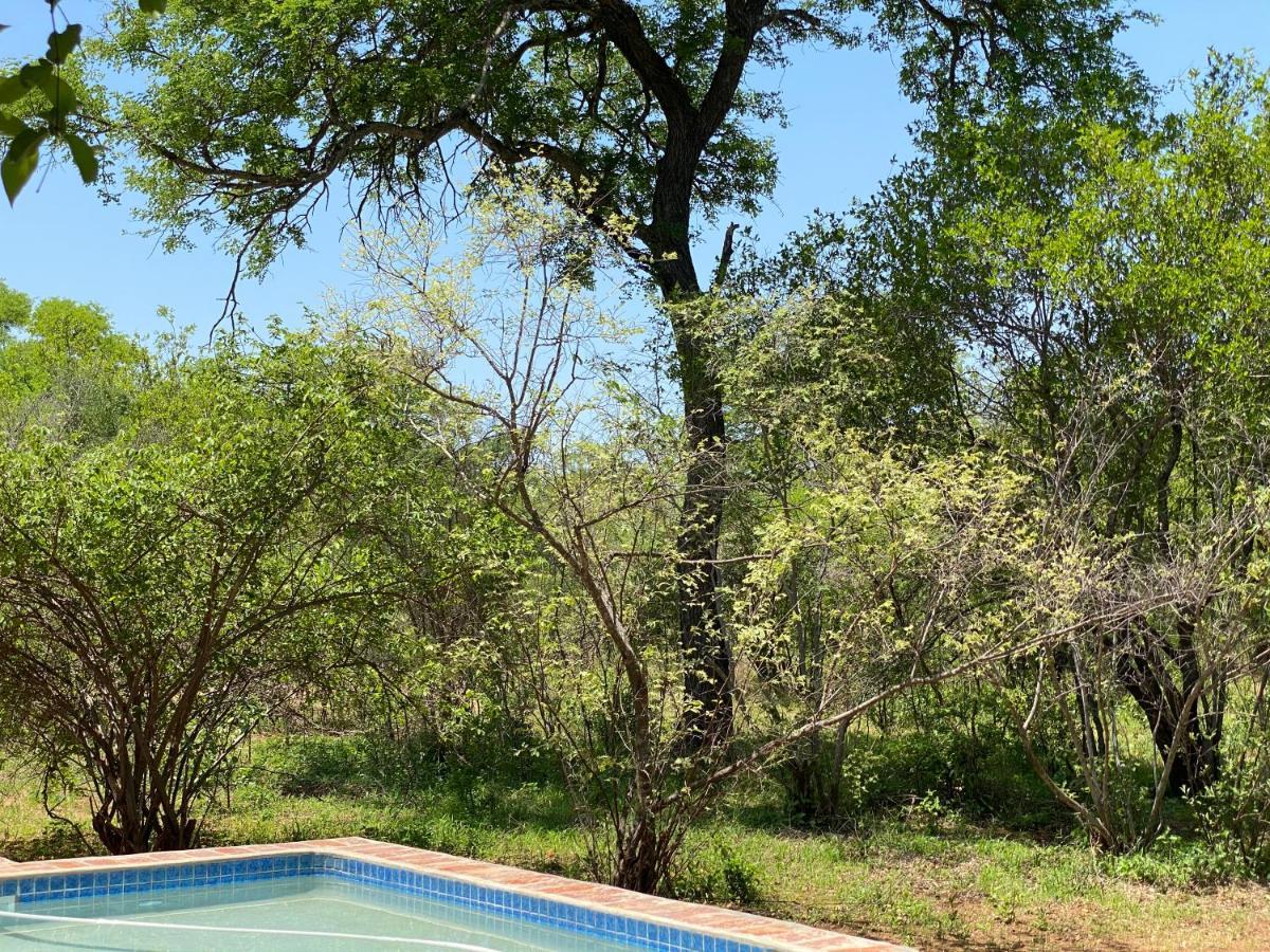 The Bush Hut Βίλα Hoedspruit Εξωτερικό φωτογραφία